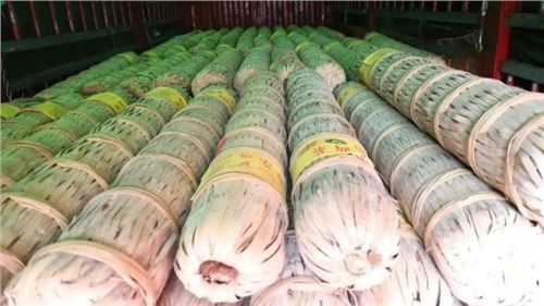 茶葉市場現(xiàn)回暖信號？