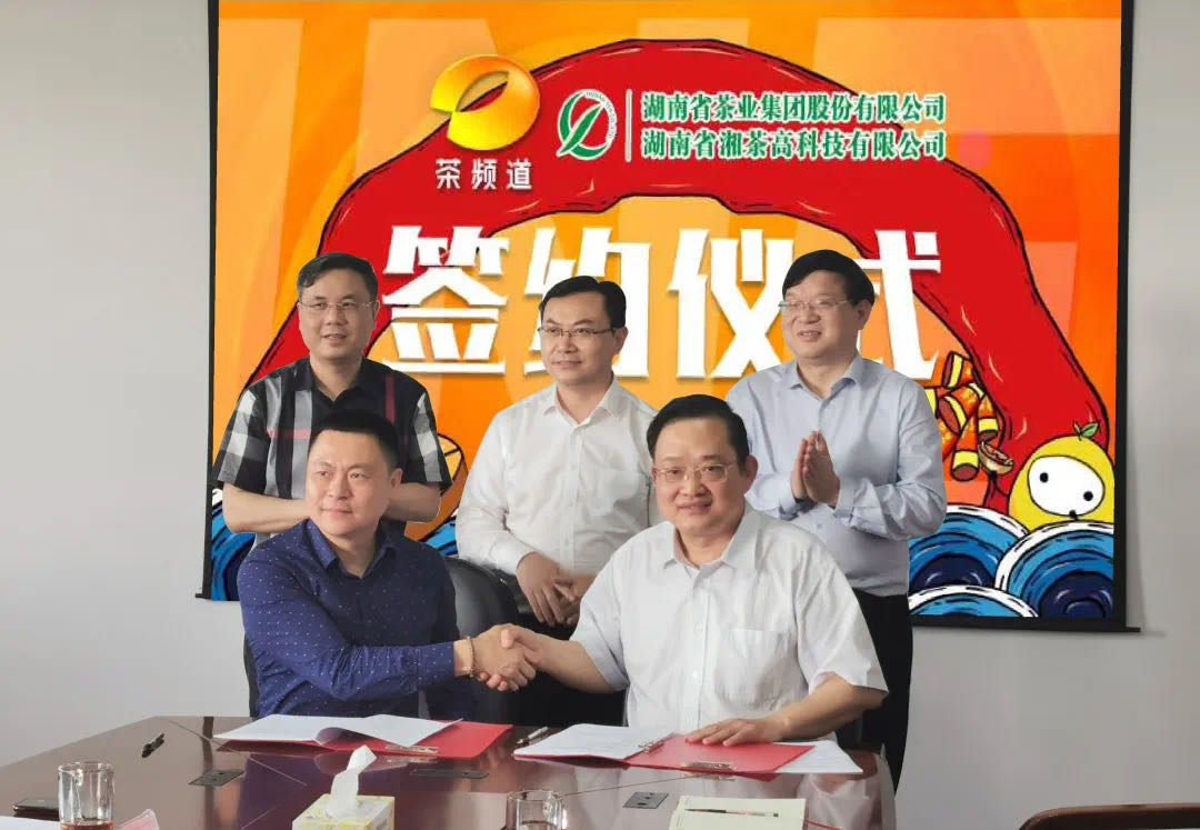 院士見證，輕輕茶發(fā)力品牌建設(shè)，與茶頻道達(dá)成深度合作