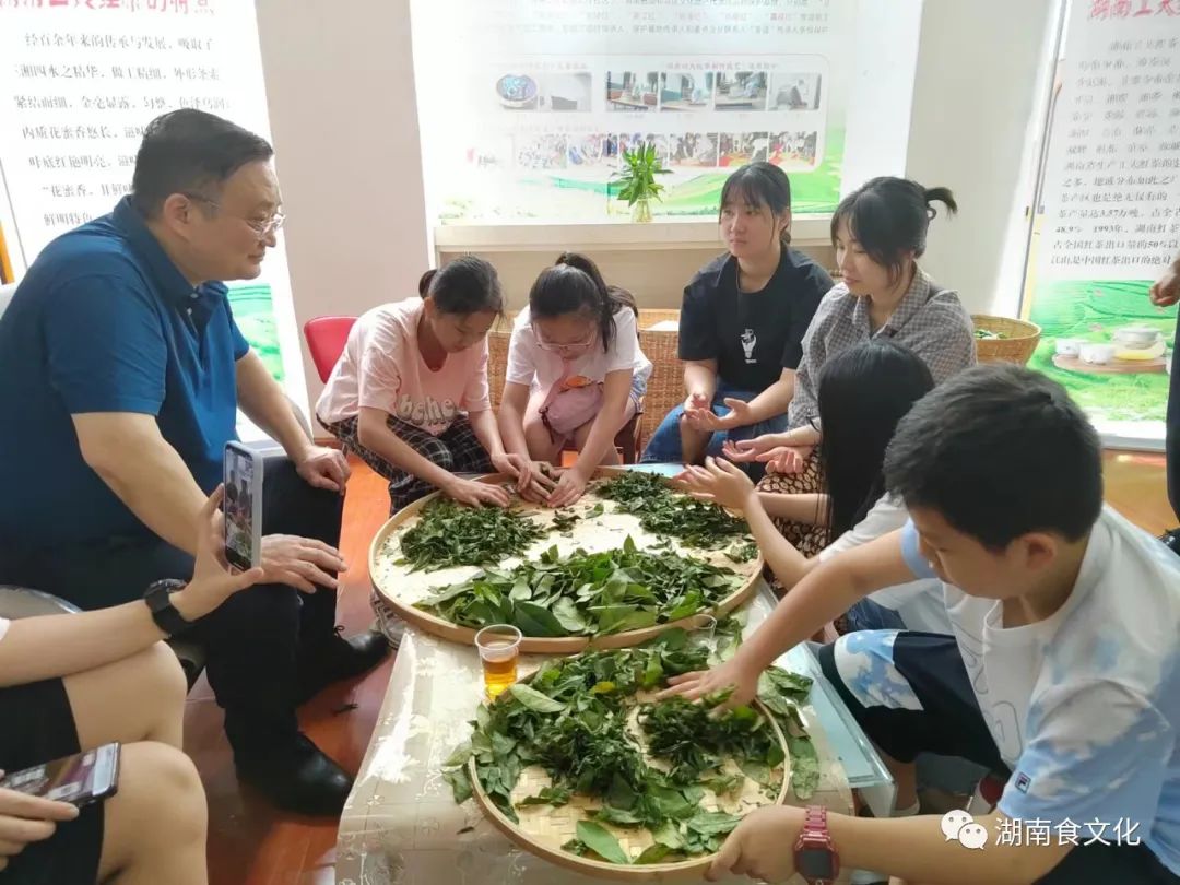 原載人民日報“人民視點”茶葉是怎樣做出來的？湖南大、中、小學(xué)生體驗湖南工夫紅茶制作